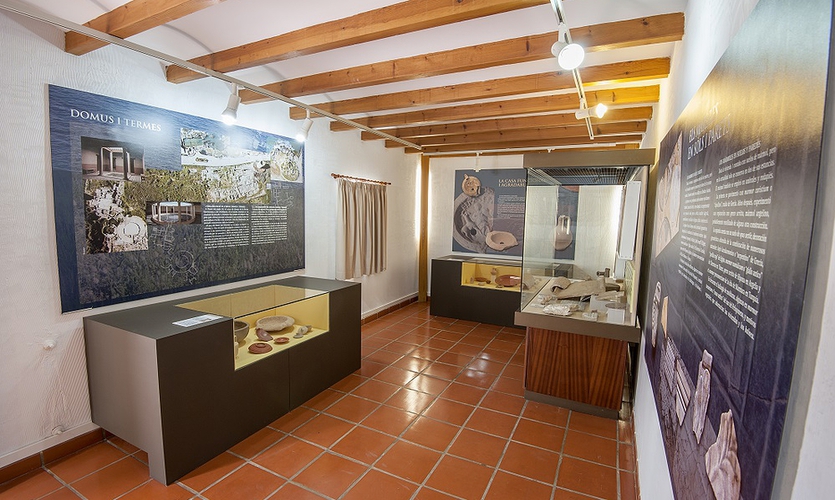 Museo de Historia y Arqueología 4