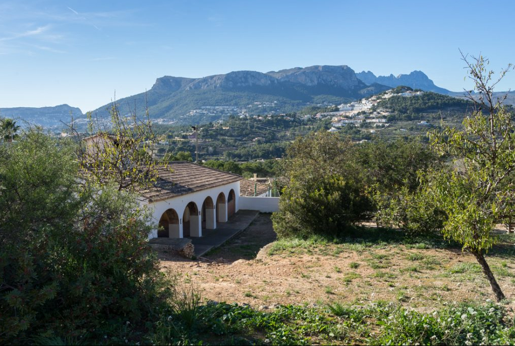 Camí del Cocó, Concentari i Cometa