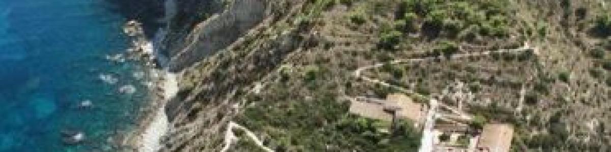 Calp Se Incorpora al Patronato de la Fundación de la Comunitat Valenciana Marq