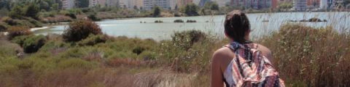 Tourism Creates A Guidebook To Promote Birdwatching Tourism