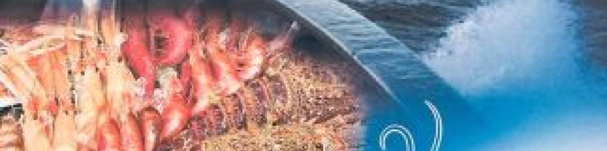 Hoy Se Inaugura en Ifa el I Encuentro Dieta Mediterránea #alicantegastronomica.