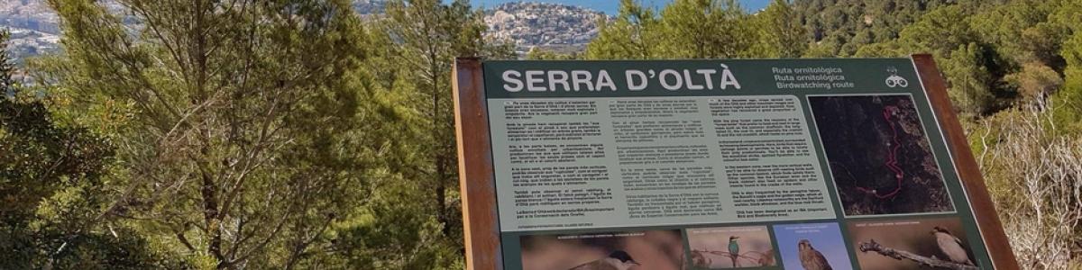 L’ajuntament de Calp Crea Rutes D’albirament D’aus Per A Fomentar el Turisme Ornitològic