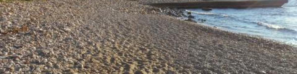 Calp Contará Con Una Playa Para Perros de Manera Definitiva