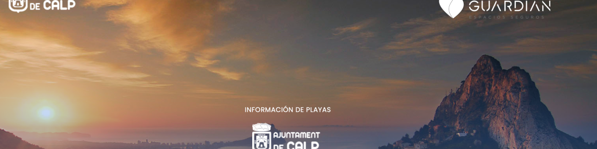 ¿Cómo consultar el grado de ocupación de nuestras playas?