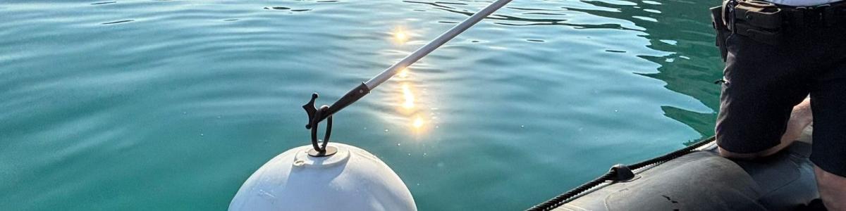 Calp completes the installation of ecological moorings that will prevent boats from damaging the Posidonia seagrass meadow