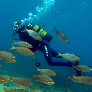 Submarinismo