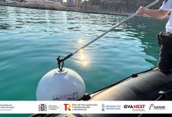 Calp schließt die Installation ökologischer Ankerplätze ab, die verhindern sollen, dass Boote die Posidonia-Seegraswiese beschädigen.